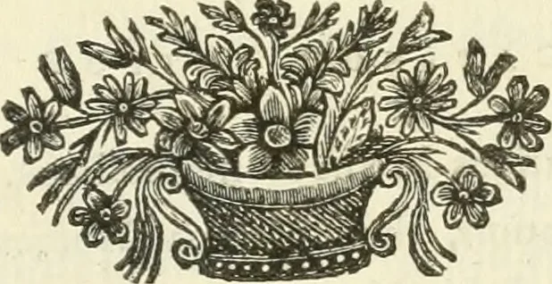 An illustration from A description of the antiquities and curiosities in Wilton-House : illustrated with twenty-five engravings of some of the capital statues, bustos, and relievos : in this work are introduced the anecdotes and remarks of Thomas Earl of Pembroke, who collected these antiques, now first published from his Lordship's mss, 1786, leaf 166