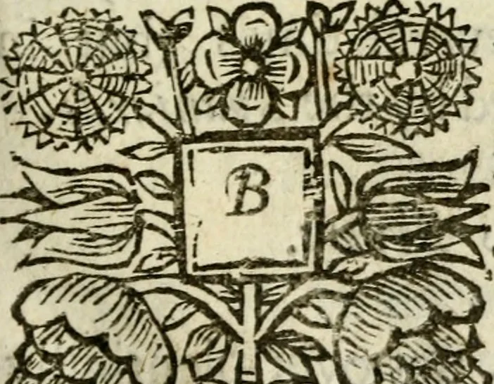 An illustration from A description of the island of Jamaica; with the other isles and territories in America, to which the English are related, viz. Barbadoes, St. Christophers, Nievis or Mevis, Antego, St. Vincent, Dominica, Montserrat, Anguilla, Barbada, Bermudes, Carolina, Virginia, Maryland, New-York, New England, New-Foundland, 1672, leaf 78