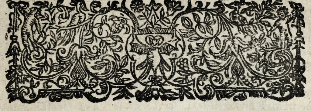 An illustration from A description of new philosophical furnaces, or, A new art of distilling, divided into five parts : whereunto is added a description of the tincture of gold, or the true aurum potabile : also the first part of the mineral work : set forth and published for the sakes of them that are studious of the truth, 1651, leaf 217