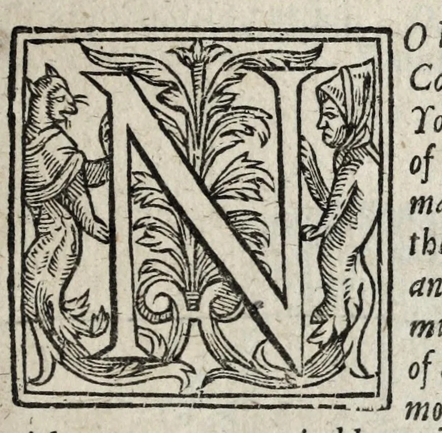 An illustration from A description of new philosophical furnaces, or, A new art of distilling, divided into five parts : whereunto is added a description of the tincture of gold, or the true aurum potabile : also the first part of the mineral work : set forth and published for the sakes of them that are studious of the truth, 1651, leaf 217
