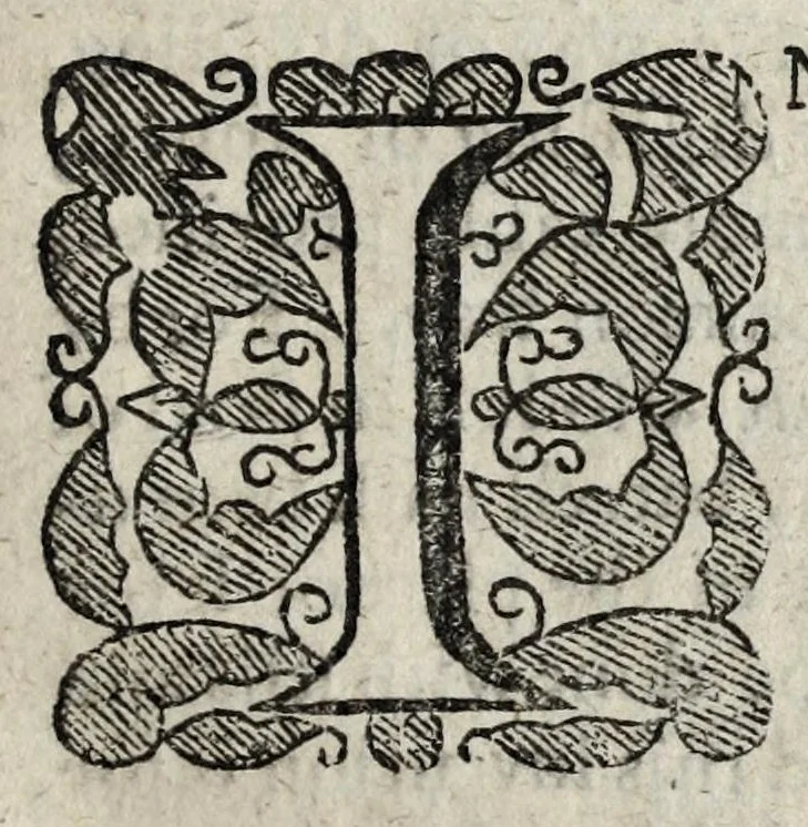 An illustration from A description of new philosophical furnaces, or, A new art of distilling, divided into five parts : whereunto is added a description of the tincture of gold, or the true aurum potabile : also the first part of the mineral work : set forth and published for the sakes of them that are studious of the truth, 1651, leaf 221