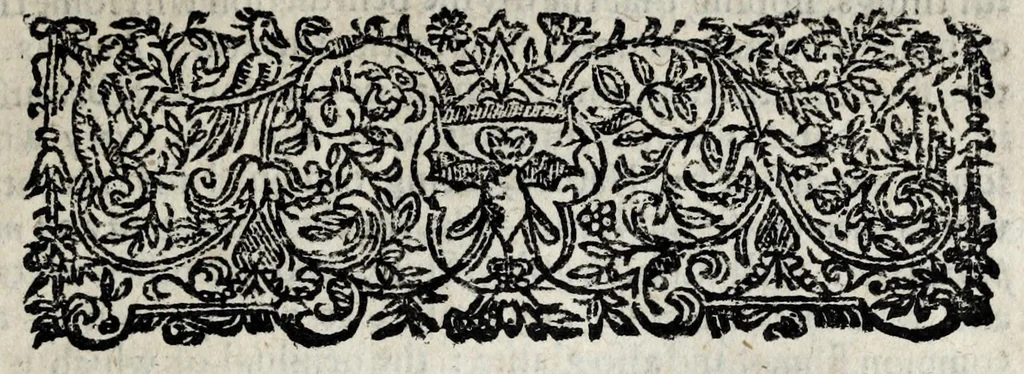 An illustration from A description of new philosophical furnaces, or, A new art of distilling, divided into five parts : whereunto is added a description of the tincture of gold, or the true aurum potabile : also the first part of the mineral work : set forth and published for the sakes of them that are studious of the truth, 1651, leaf 331