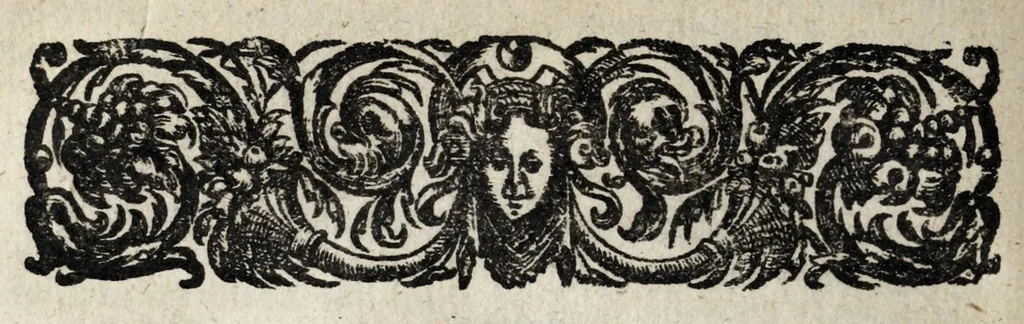 An illustration from A description of new philosophical furnaces, or, A new art of distilling, divided into five parts : whereunto is added a description of the tincture of gold, or the true aurum potabile : also the first part of the mineral work : set forth and published for the sakes of them that are studious of the truth, 1651, leaf 366
