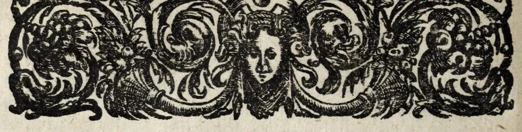 An illustration from A description of new philosophical furnaces, or, A new art of distilling, divided into five parts : whereunto is added a description of the tincture of gold, or the true aurum potabile : also the first part of the mineral work : set forth and published for the sakes of them that are studious of the truth, 1651, leaf 368