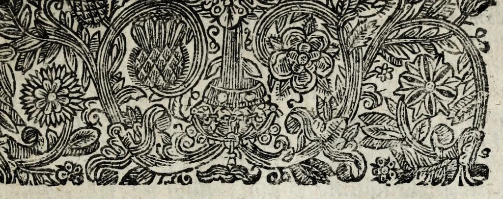 An illustration from A description of new philosophical furnaces, or, A new art of distilling, divided into five parts : whereunto is added a description of the tincture of gold, or the true aurum potabile : also the first part of the mineral work : set forth and published for the sakes of them that are studious of the truth, 1651, leaf 375
