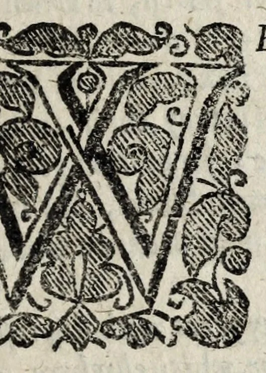 An illustration from A description of new philosophical furnaces, or, A new art of distilling, divided into five parts : whereunto is added a description of the tincture of gold, or the true aurum potabile : also the first part of the mineral work : set forth and published for the sakes of them that are studious of the truth, 1651, leaf 375