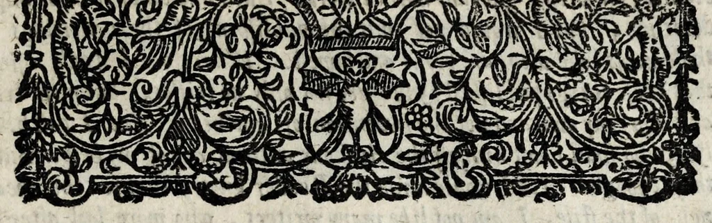 An illustration from A description of new philosophical furnaces, or, A new art of distilling, divided into five parts : whereunto is added a description of the tincture of gold, or the true aurum potabile : also the first part of the mineral work : set forth and published for the sakes of them that are studious of the truth, 1651, leaf 455