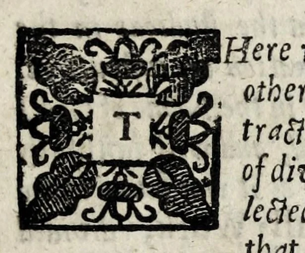An illustration from A description of new philosophical furnaces, or, A new art of distilling, divided into five parts : whereunto is added a description of the tincture of gold, or the true aurum potabile : also the first part of the mineral work : set forth and published for the sakes of them that are studious of the truth, 1651, leaf 455