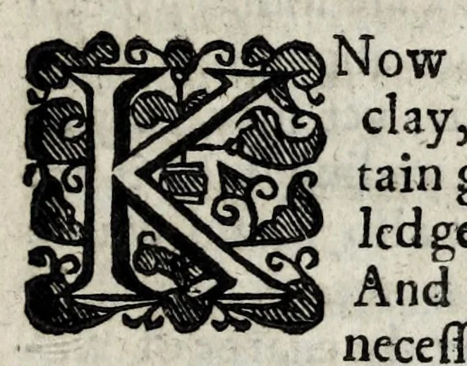 An illustration from A description of new philosophical furnaces, or, A new art of distilling, divided into five parts : whereunto is added a description of the tincture of gold, or the true aurum potabile : also the first part of the mineral work : set forth and published for the sakes of them that are studious of the truth, 1651, leaf 457