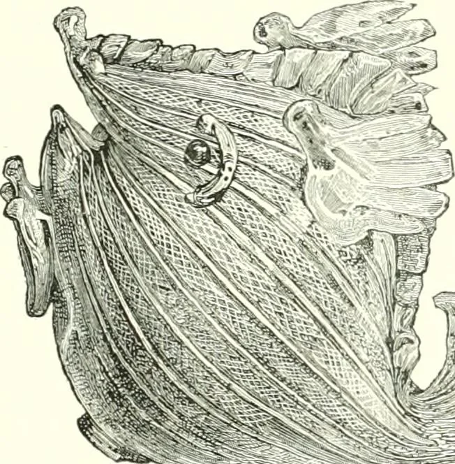 An illustration from A descriptive catalogue of the glass vessels in the South Kensington museum, 1878, leaf 259