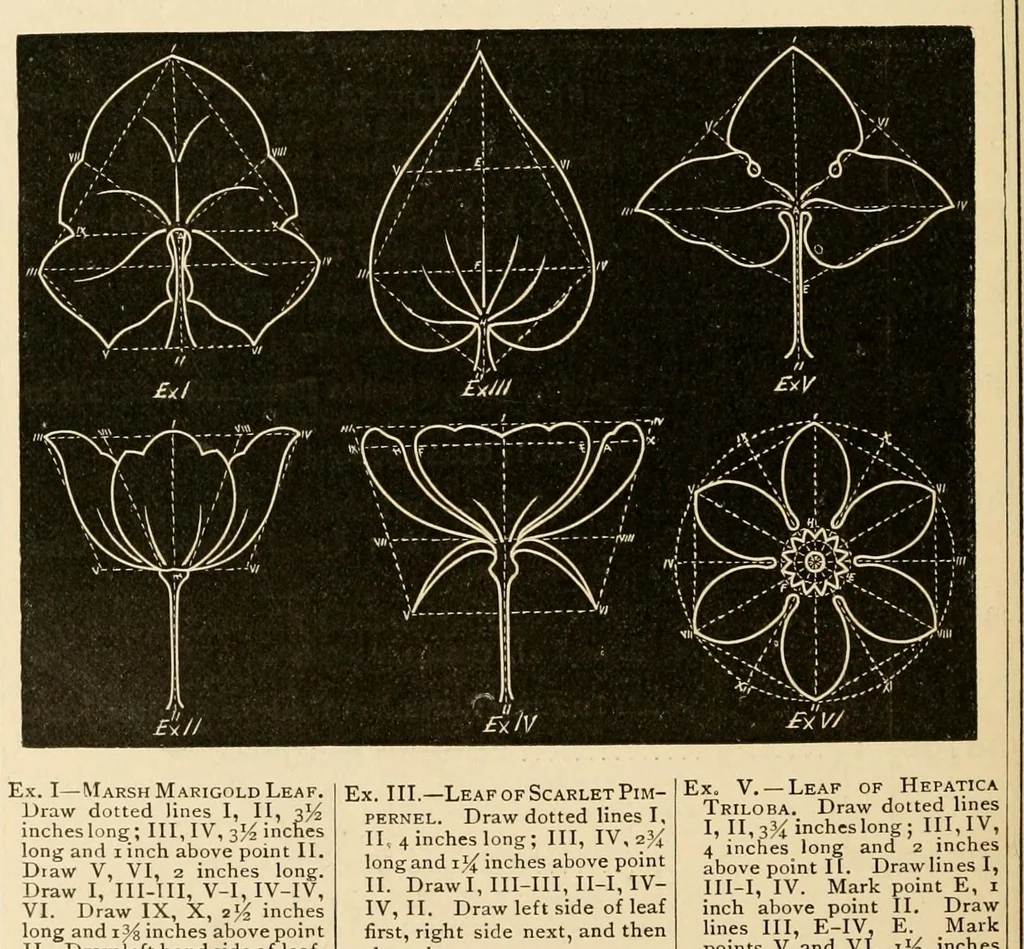 An illustration from Descriptive catalogue and price list., 1887, leaf 176