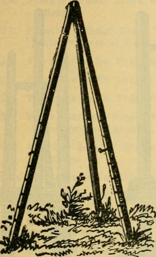 An illustration from Descriptive catalogue of artists' materials, draughting papers, tracing cloth, and mathematical instruments., 1898, leaf 139