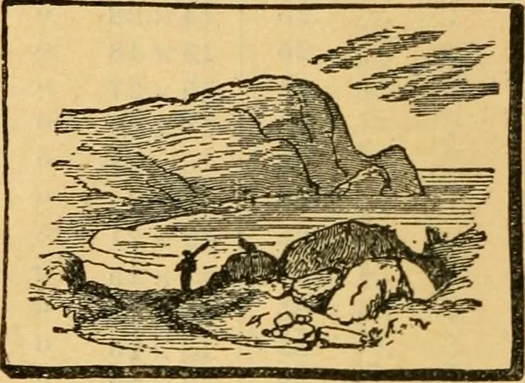 An illustration from Descriptive catalogue of artists' materials, draughting papers, tracing cloth, and mathematical instruments., 1898, leaf 60