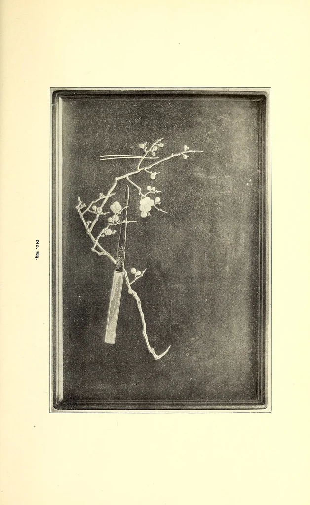 An illustration from Descriptive catalogue of an important collection of Japanese and Chinese pottery, porcelain, bronzes, brocades, prints, embroideries, kakemono, screens, ivories and gold lacquers selected by Mr. Bunkio Matsuki of Kobe, Japan, and Boston, 1898, leaf 125