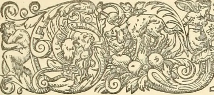 An illustration from A descriptive catalogue of Swiss coins in the South Kensington museum;, 1878, leaf 23