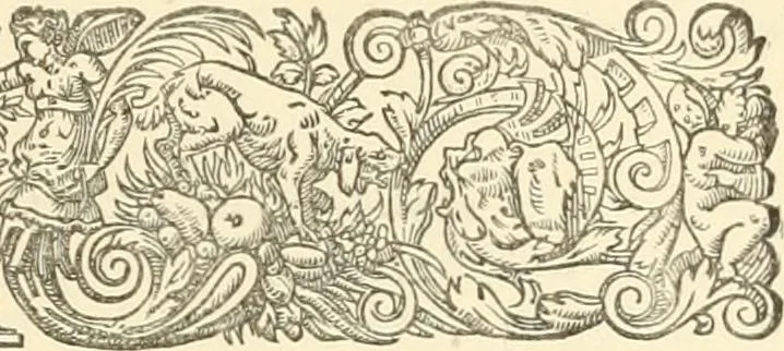 An illustration from A descriptive catalogue of Swiss coins in the South Kensington museum;, 1878, leaf 23