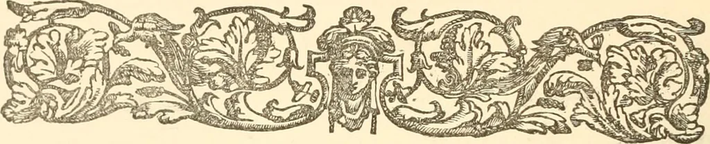 An illustration from A descriptive catalogue of Swiss coins in the South Kensington museum;, 1878, leaf 348