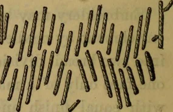 An illustration from A descriptive catalogue of the collections of tapestry and embroidery in the South Kensington Museum, 1888, leaf 130
