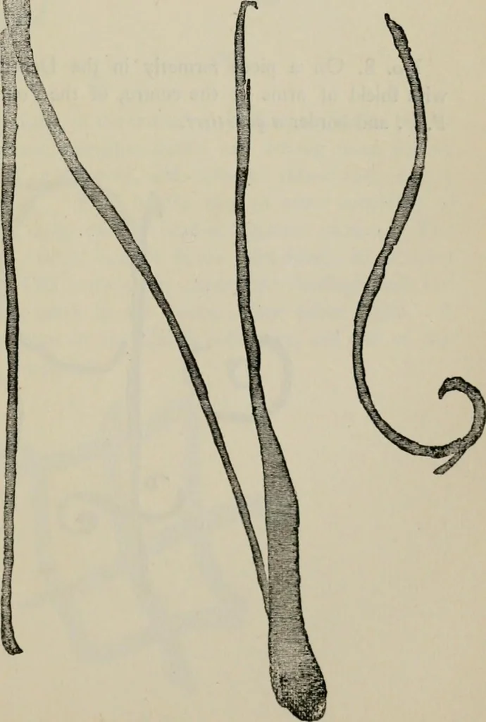 An illustration from A descriptive catalogue of the maiolica, Hispano-Moresco, Persian, Damascus, and Rhodian wares in the South Kensington Museum : with historical notes, marks, & monograms, 1873, leaf 245