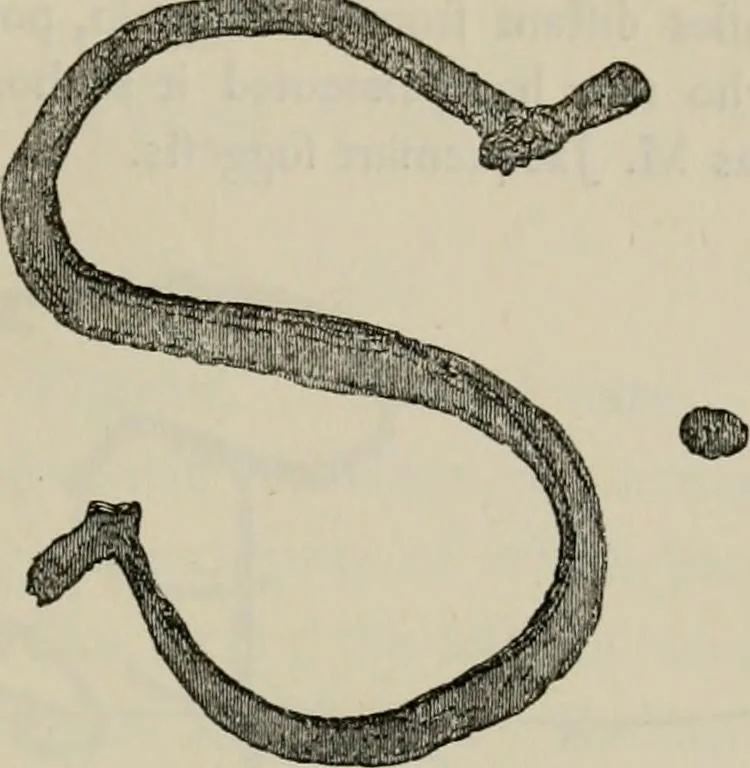 An illustration from A descriptive catalogue of the maiolica, Hispano-Moresco, Persian, Damascus, and Rhodian wares in the South Kensington Museum : with historical notes, marks, & monograms, 1873, leaf 249