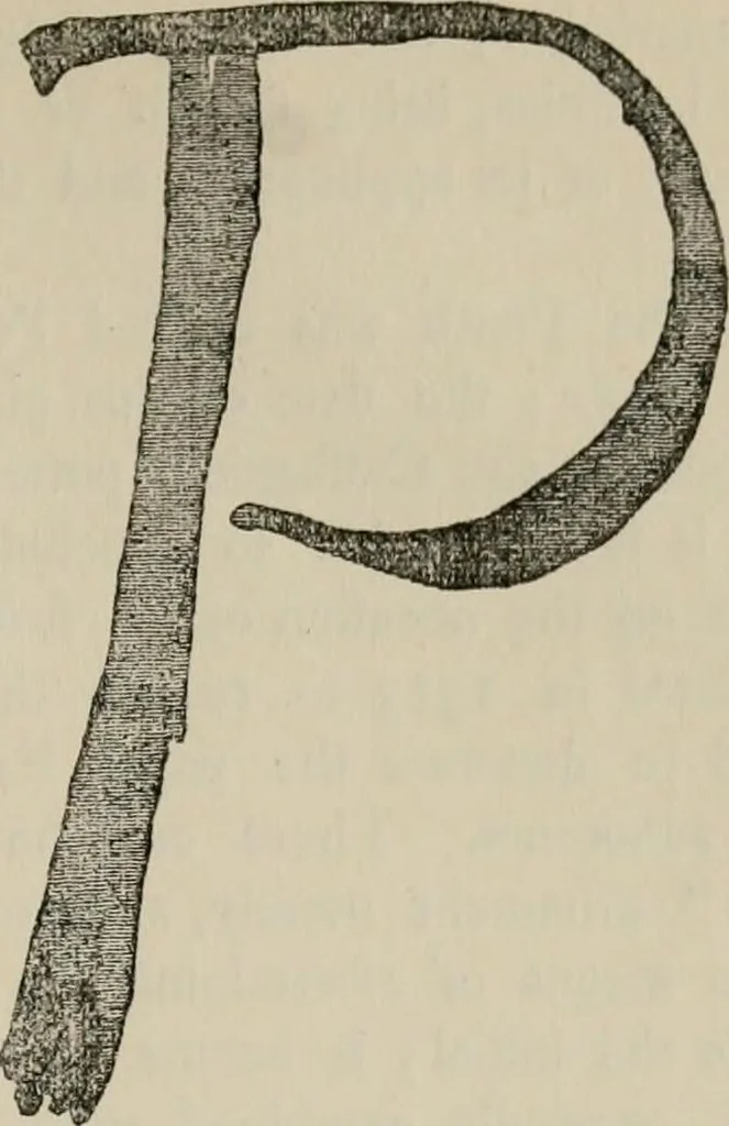 An illustration from A descriptive catalogue of the maiolica, Hispano-Moresco, Persian, Damascus, and Rhodian wares in the South Kensington Museum : with historical notes, marks, & monograms, 1873, leaf 261