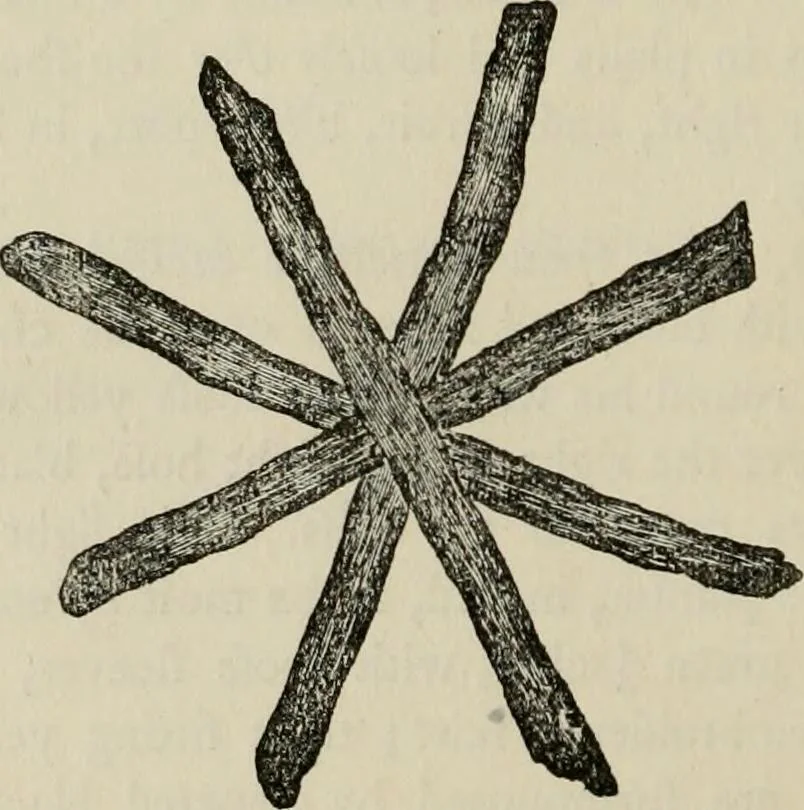 An illustration from A descriptive catalogue of the maiolica, Hispano-Moresco, Persian, Damascus, and Rhodian wares in the South Kensington Museum : with historical notes, marks, & monograms, 1873, leaf 274