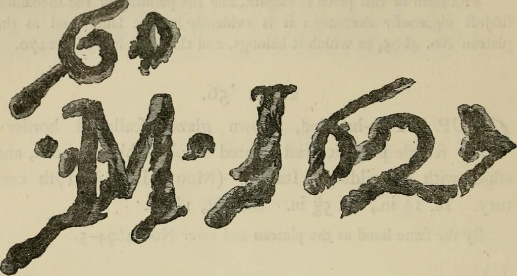 An illustration from A descriptive catalogue of the maiolica, Hispano-Moresco, Persian, Damascus, and Rhodian wares in the South Kensington Museum : with historical notes, marks, & monograms, 1873, leaf 306