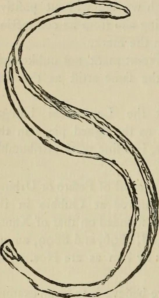 An illustration from A descriptive catalogue of the maiolica, Hispano-Moresco, Persian, Damascus, and Rhodian wares in the South Kensington Museum : with historical notes, marks, & monograms, 1873, leaf 324