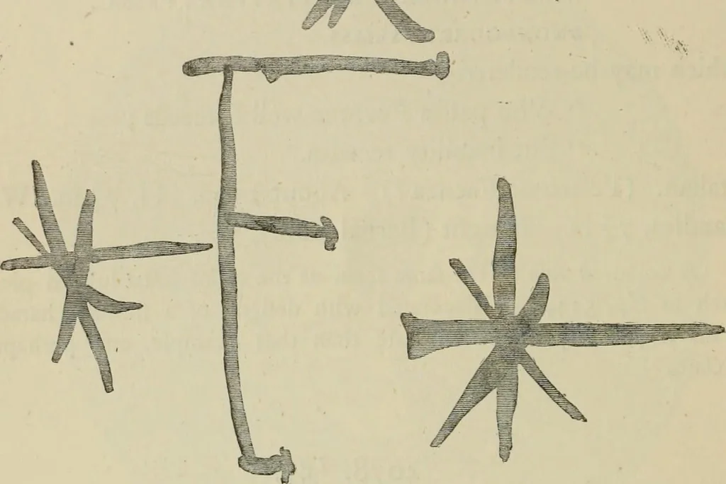 An illustration from A descriptive catalogue of the maiolica, Hispano-Moresco, Persian, Damascus, and Rhodian wares in the South Kensington Museum : with historical notes, marks, & monograms, 1873, leaf 332