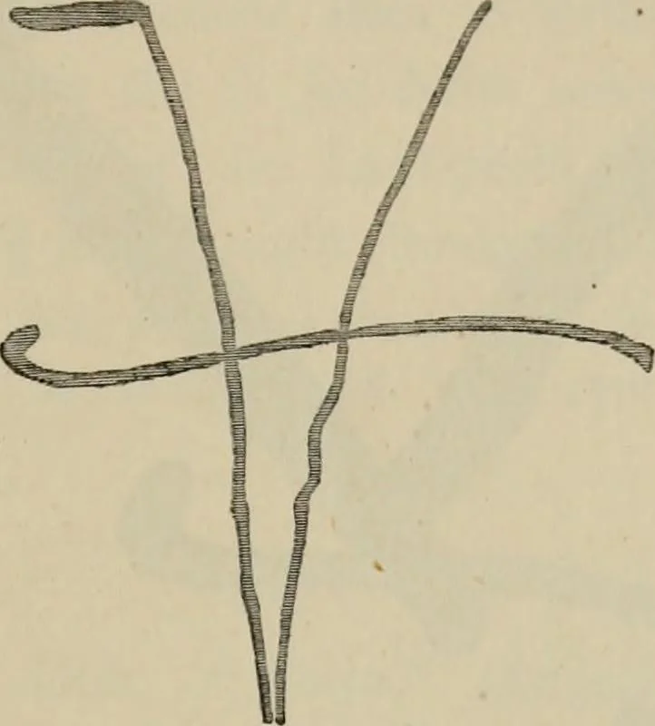 An illustration from A descriptive catalogue of the maiolica, Hispano-Moresco, Persian, Damascus, and Rhodian wares in the South Kensington Museum : with historical notes, marks, & monograms, 1873, leaf 333