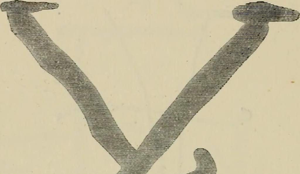An illustration from A descriptive catalogue of the maiolica, Hispano-Moresco, Persian, Damascus, and Rhodian wares in the South Kensington Museum : with historical notes, marks, & monograms, 1873, leaf 334