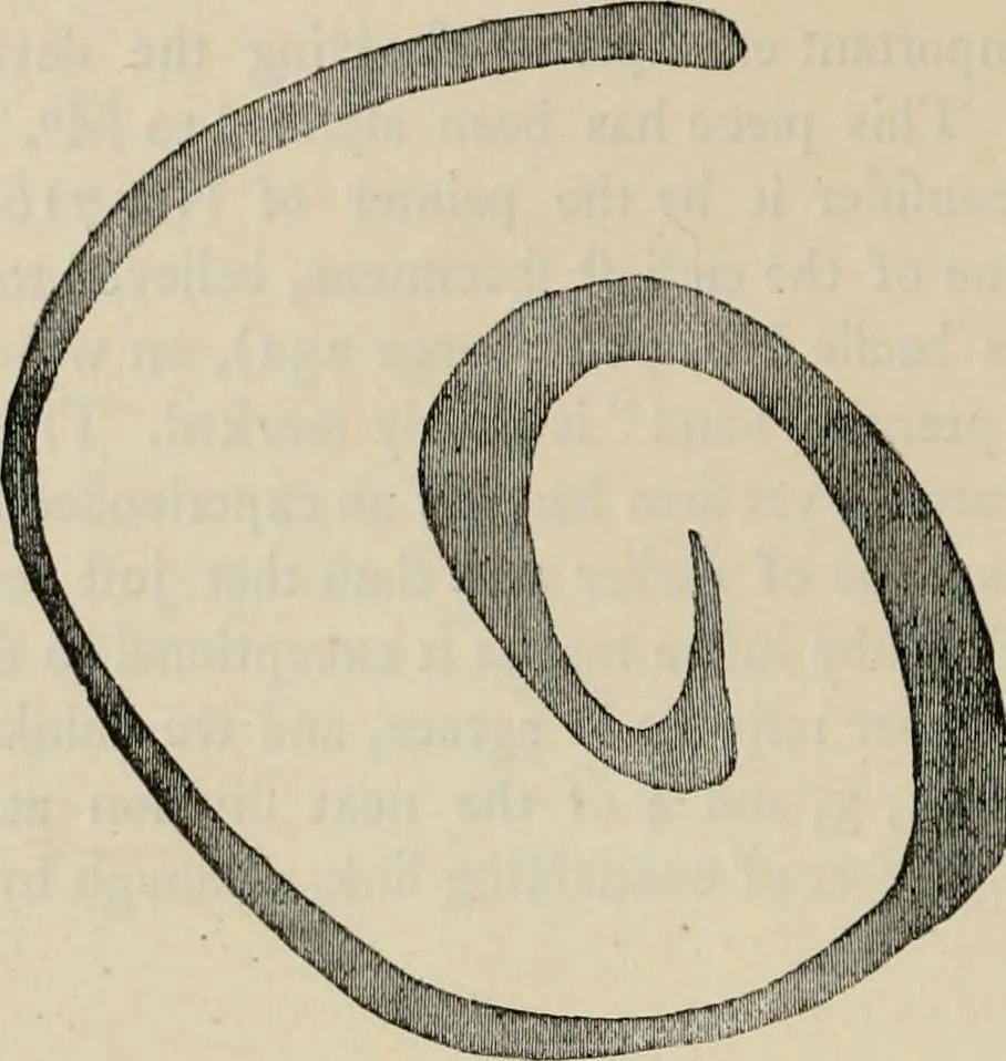 An illustration from A descriptive catalogue of the maiolica, Hispano-Moresco, Persian, Damascus, and Rhodian wares in the South Kensington Museum : with historical notes, marks, & monograms, 1873, leaf 382