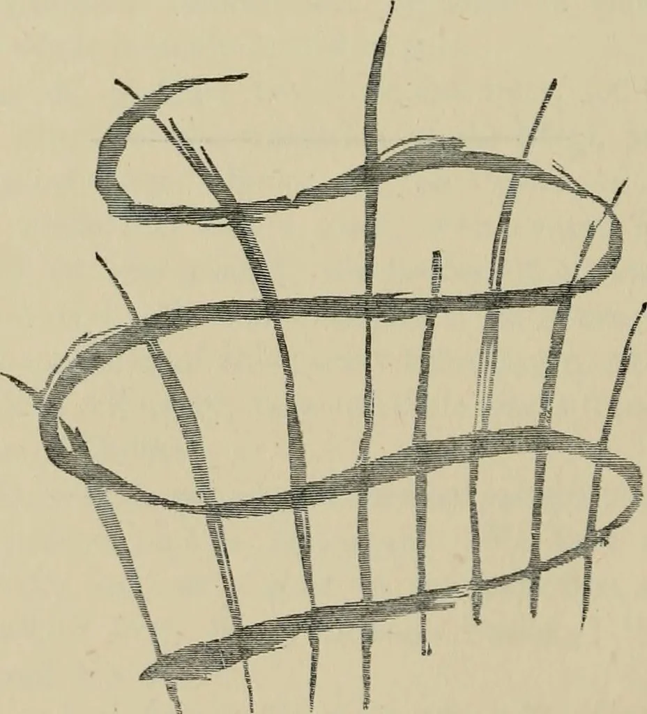An illustration from A descriptive catalogue of the maiolica, Hispano-Moresco, Persian, Damascus, and Rhodian wares in the South Kensington Museum : with historical notes, marks, & monograms, 1873, leaf 628