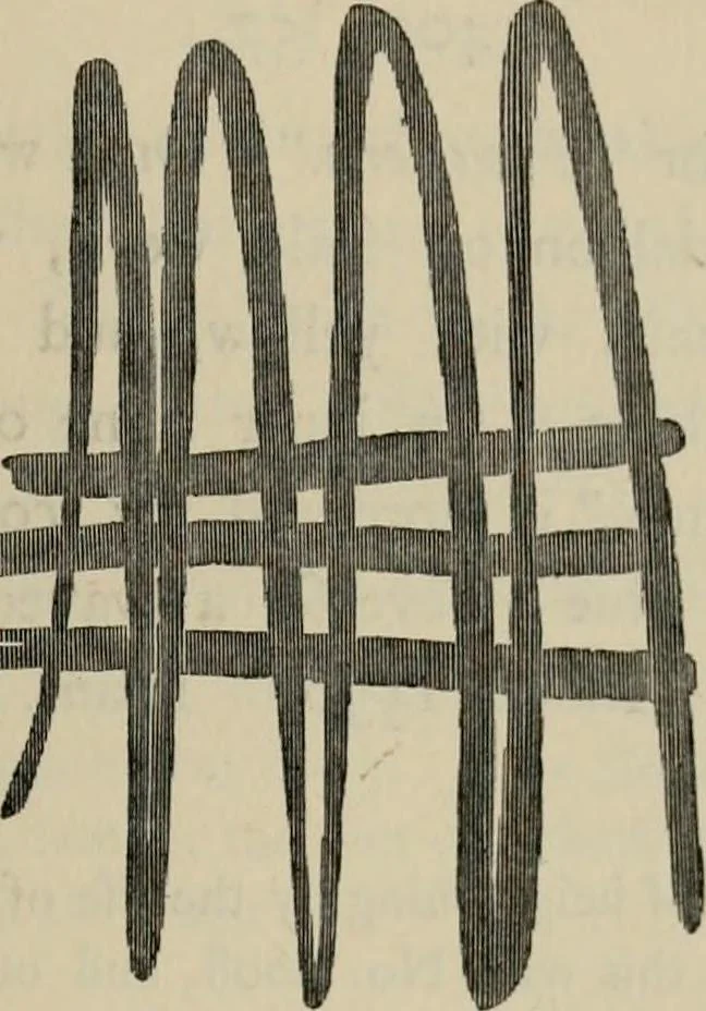 An illustration from A descriptive catalogue of the maiolica, Hispano-Moresco, Persian, Damascus, and Rhodian wares in the South Kensington Museum : with historical notes, marks, & monograms, 1873, leaf 643