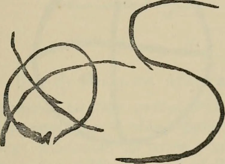 An illustration from A descriptive catalogue of the maiolica, Hispano-Moresco, Persian, Damascus, and Rhodian wares in the South Kensington Museum : with historical notes, marks, & monograms, 1873, leaf 693