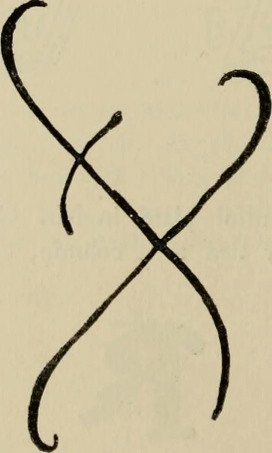 An illustration from A descriptive catalogue of the maiolica, Hispano-Moresco, Persian, Damascus, and Rhodian wares in the South Kensington Museum : with historical notes, marks, & monograms, 1873, leaf 702