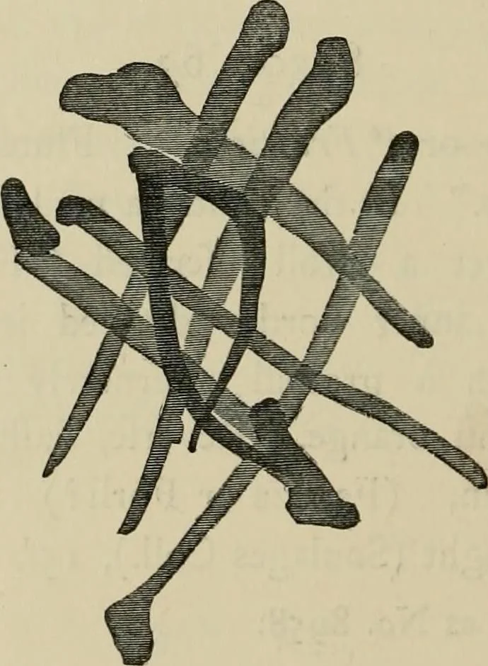 An illustration from A descriptive catalogue of the maiolica, Hispano-Moresco, Persian, Damascus, and Rhodian wares in the South Kensington Museum : with historical notes, marks, & monograms, 1873, leaf 728