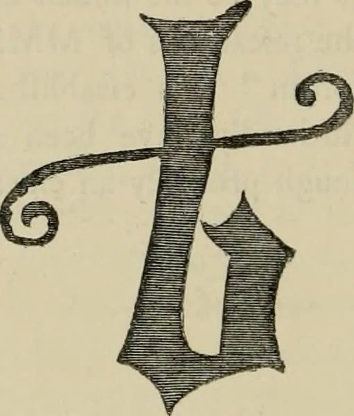 An illustration from A descriptive catalogue of the maiolica, Hispano-Moresco, Persian, Damascus, and Rhodian wares in the South Kensington Museum : with historical notes, marks, & monograms, 1873, leaf 752