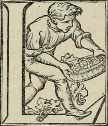An illustration from A descriptive catalogue of the maiolica, Hispano-Moresco, Persian, Damascus, and Rhodian wares in the South Kensington Museum : with historical notes, marks, & monograms, 1873, leaf 806