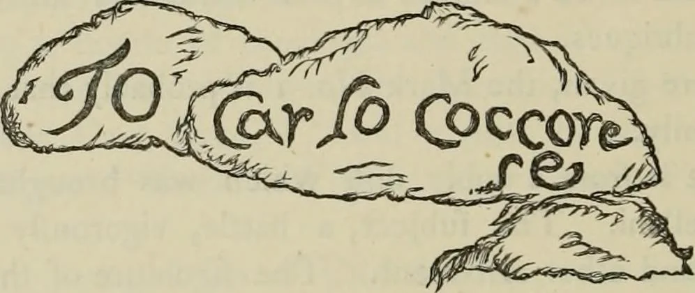 An illustration from A descriptive catalogue of the maiolica, Hispano-Moresco, Persian, Damascus, and Rhodian wares in the South Kensington Museum : with historical notes, marks, & monograms, 1873, leaf 850