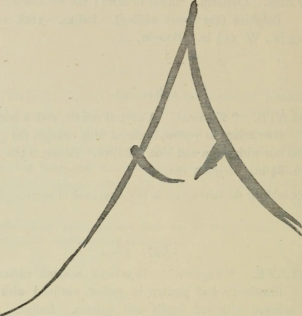 An illustration from A descriptive catalogue of the maiolica, Hispano-Moresco, Persian, Damascus, and Rhodian wares in the South Kensington Museum : with historical notes, marks, & monograms, 1873, leaf 862