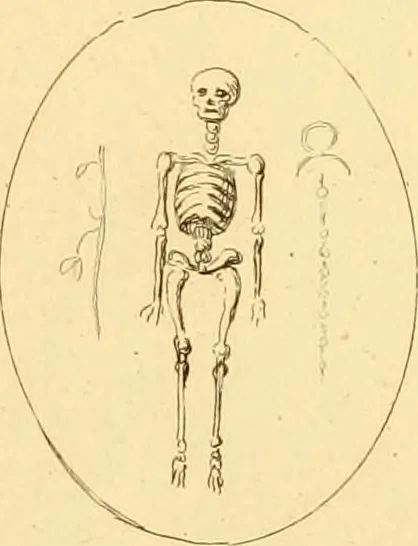 An illustration from A descriptive catalogue of a general collection of ancient and modern engraved gems, cameos as well as intaglios : taken from the most celebrated cabinets in Europe ; and cast in coloured pastes, white enamel, and sulphur, 1791, leaf 480