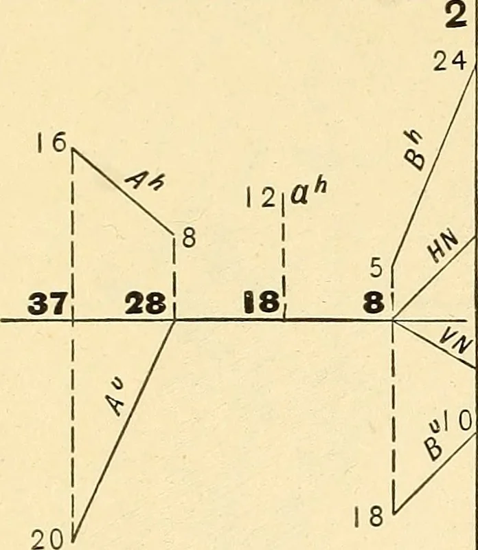 An illustration from Descriptive geometry, 1909, leaf 181