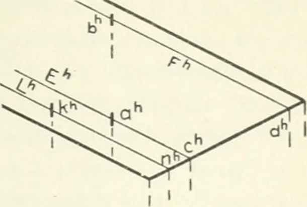 An illustration from Descriptive geometry, 1918, leaf 204
