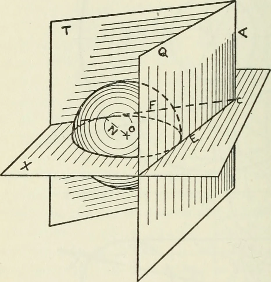 An illustration from Descriptive geometry, 1918, leaf 233