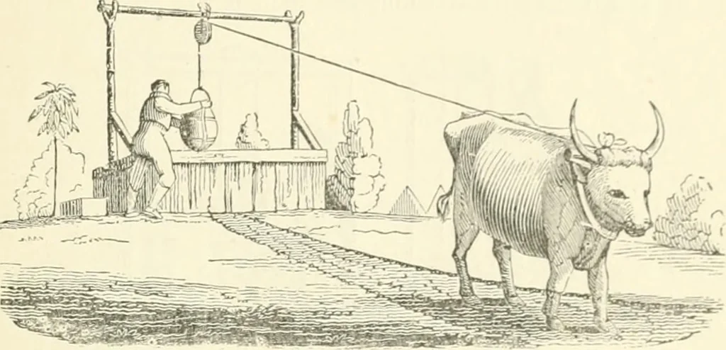 An illustration from A descriptive and historical account of hydraulic and other machines for raising water, ancient and modern : with observations on various subjects connected with the mechanic arts: including the progressive development of the steam engine, 1876, leaf 75