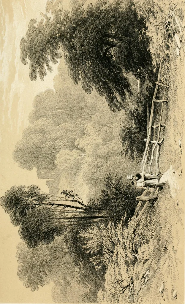 An illustration from Descriptive and historical notices of some remarkable Northumbrian, castles, churches, and antiquities ... With biographical notices of eminent persons, 1852, leaf 175