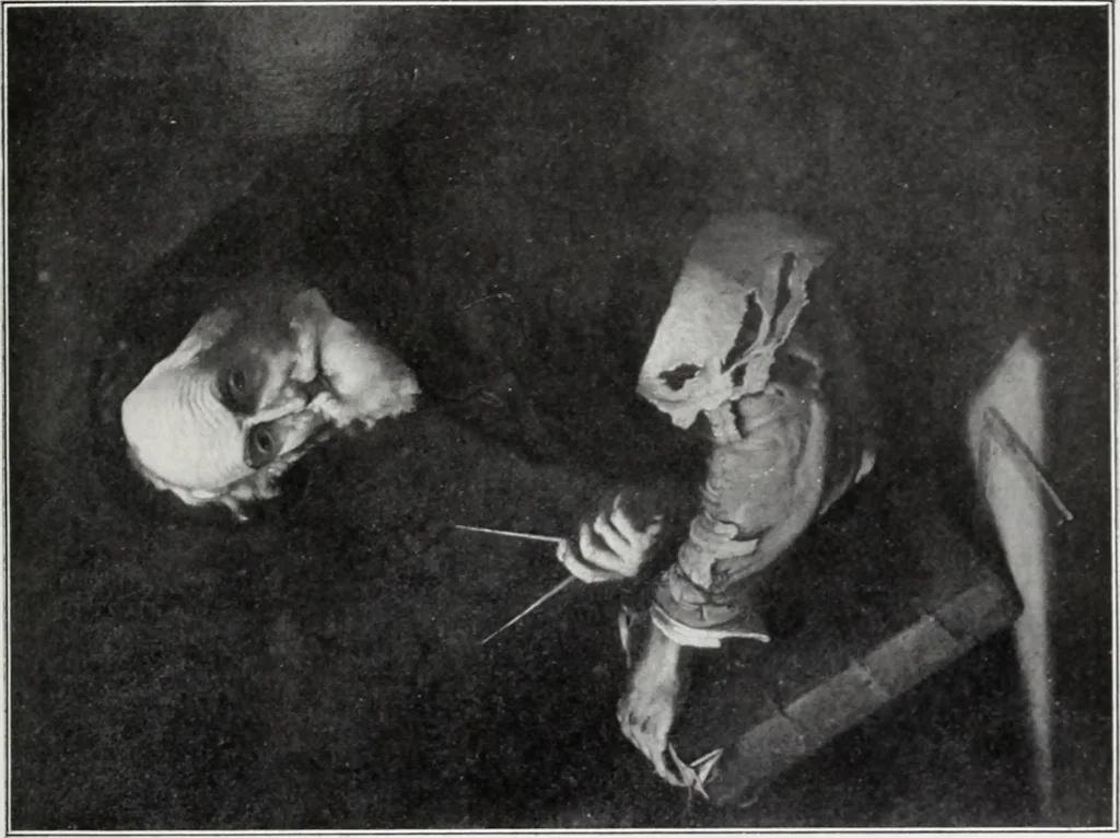 An illustration from A descriptive and illustrated catalogue of 150 paintings by old masters of the Dutch, Flemish, German, Italian, Spanish and French schools from the Kleinberger Galleries, 1911, leaf 190