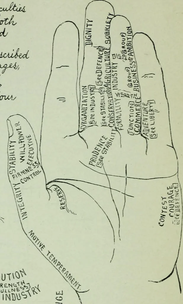An illustration from Descriptive mentality from the head, face and hand, 1899, leaf 104