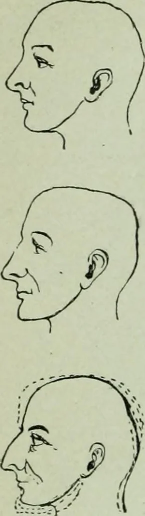 An illustration from Descriptive mentality from the head, face and hand, 1899, leaf 114